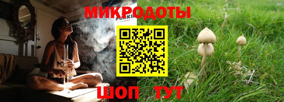 дарнет шоп  Вход с VPN  Буйнакск  Псилоцибиновые грибы мухоморы  Галлюциногенные грибы MAGIC MUSHROOMS 
